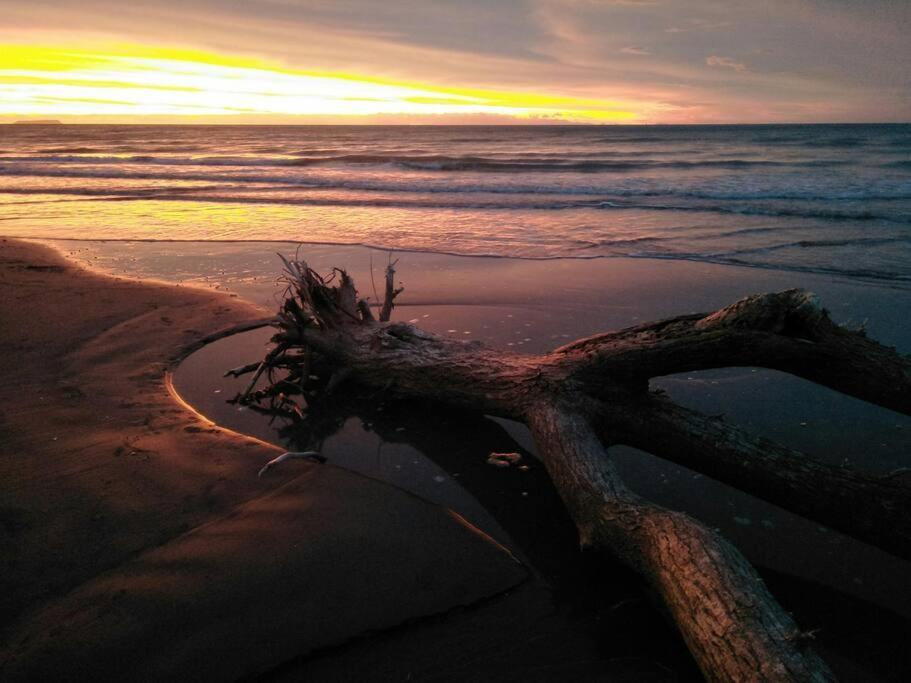 Beachfront Bliss Paraparaumu Esterno foto